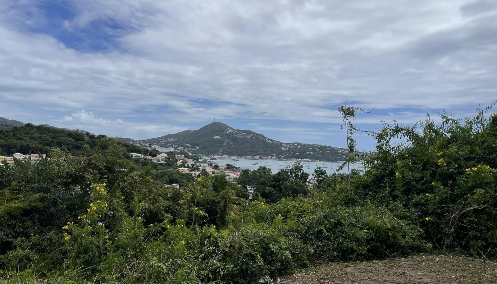Image 12
