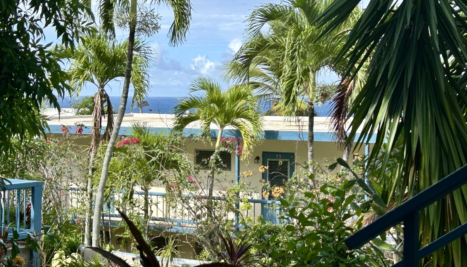Image 11