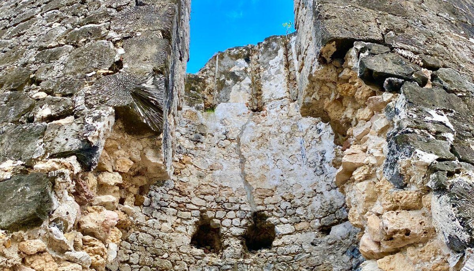 Image 29