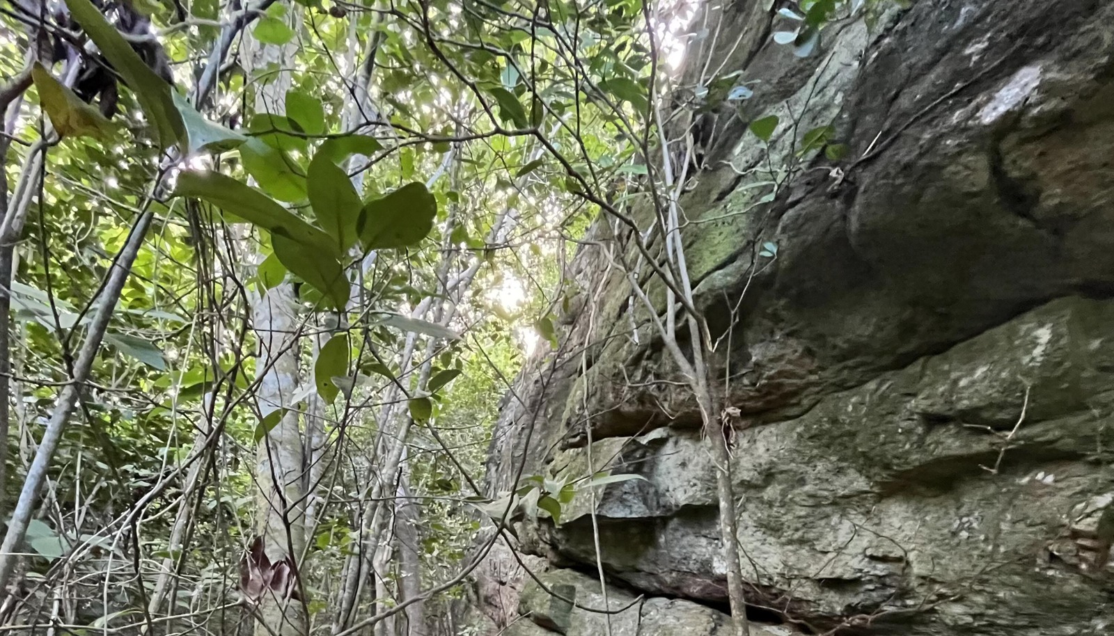 Image 6