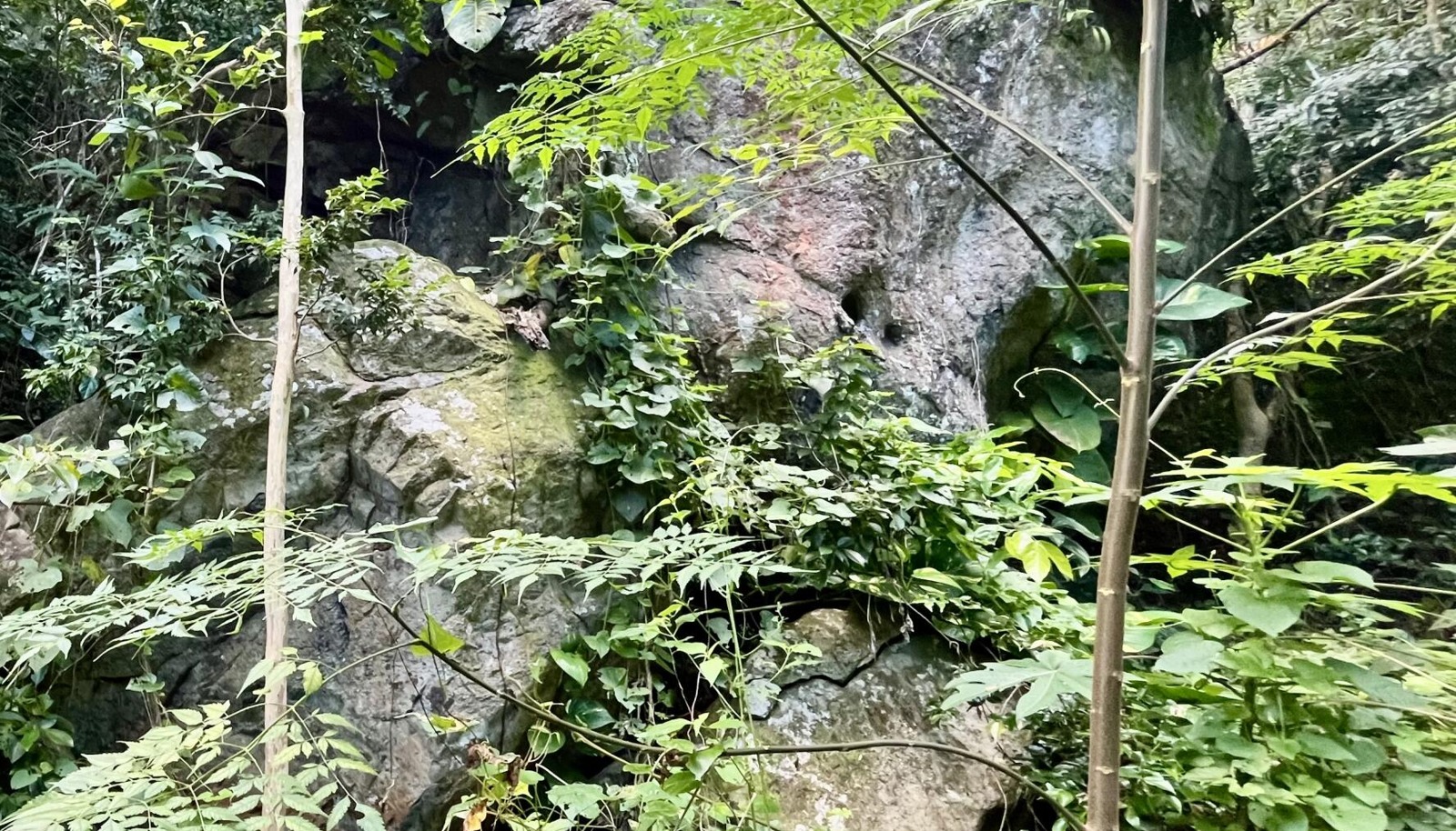 Image 8