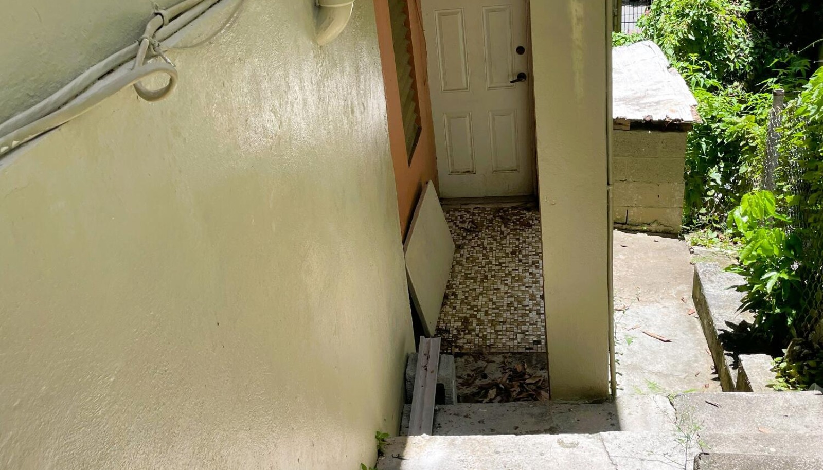 Image 12
