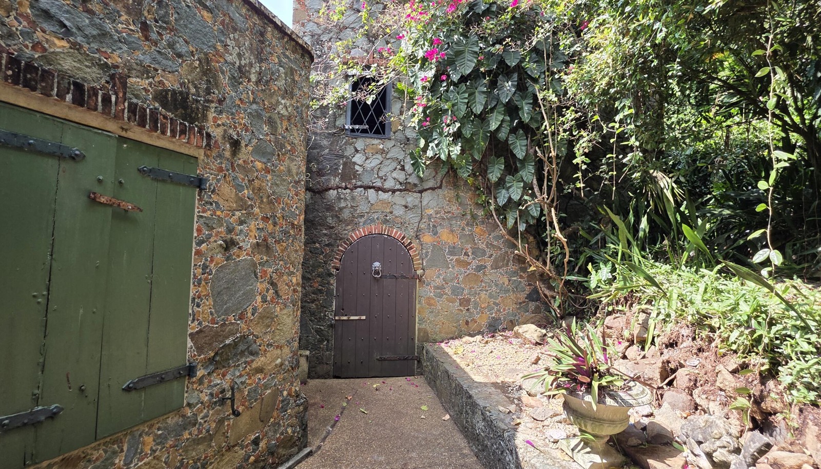 Image 6