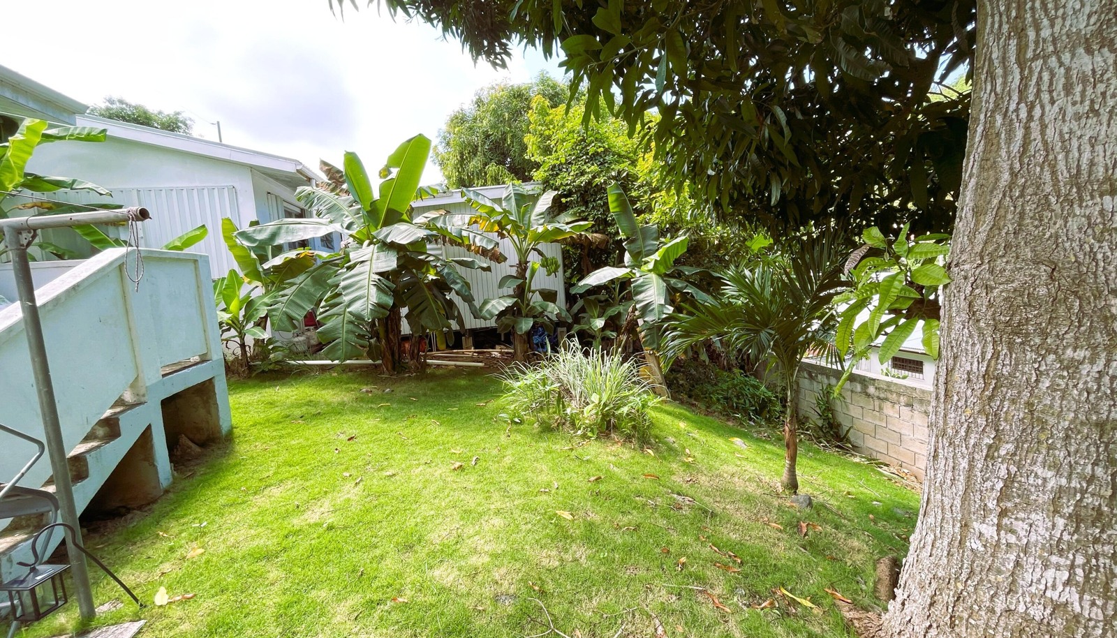 Image 14