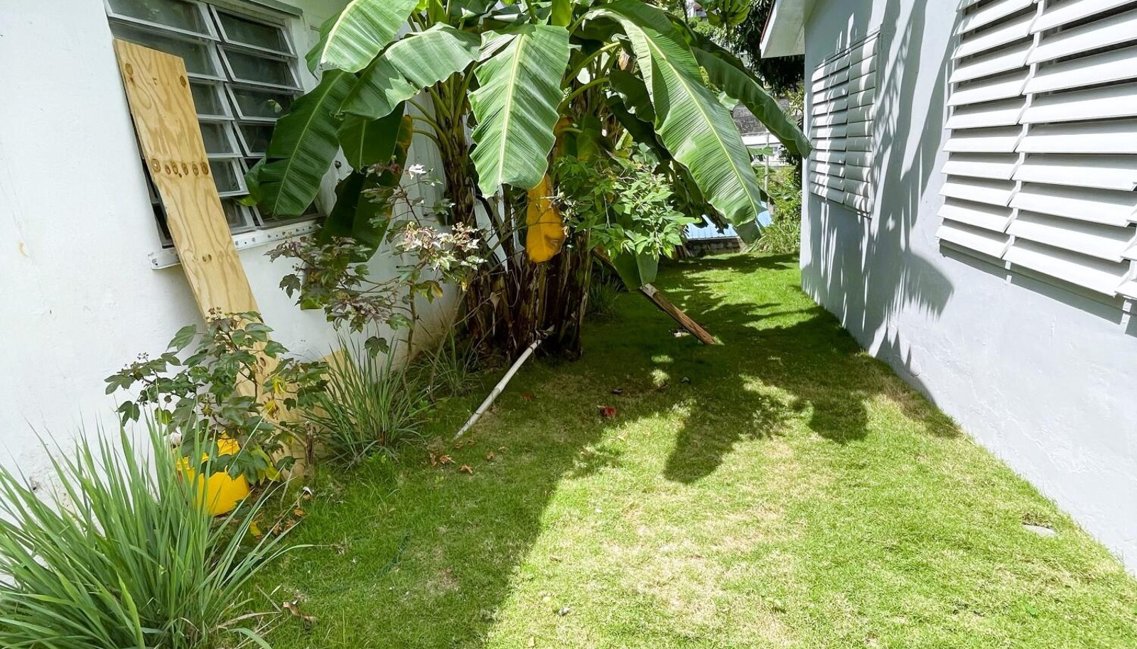 Image 15