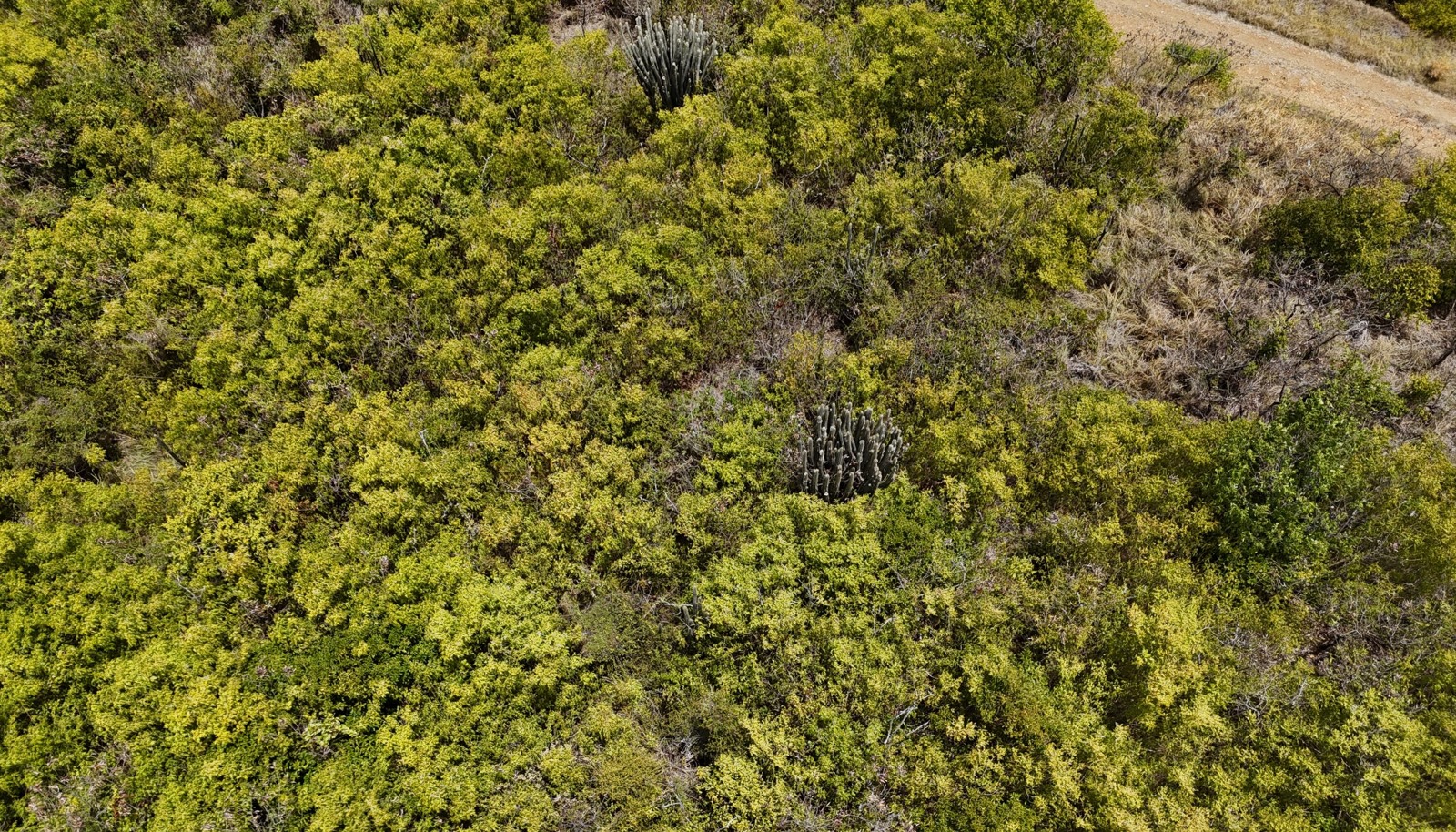 Image 13