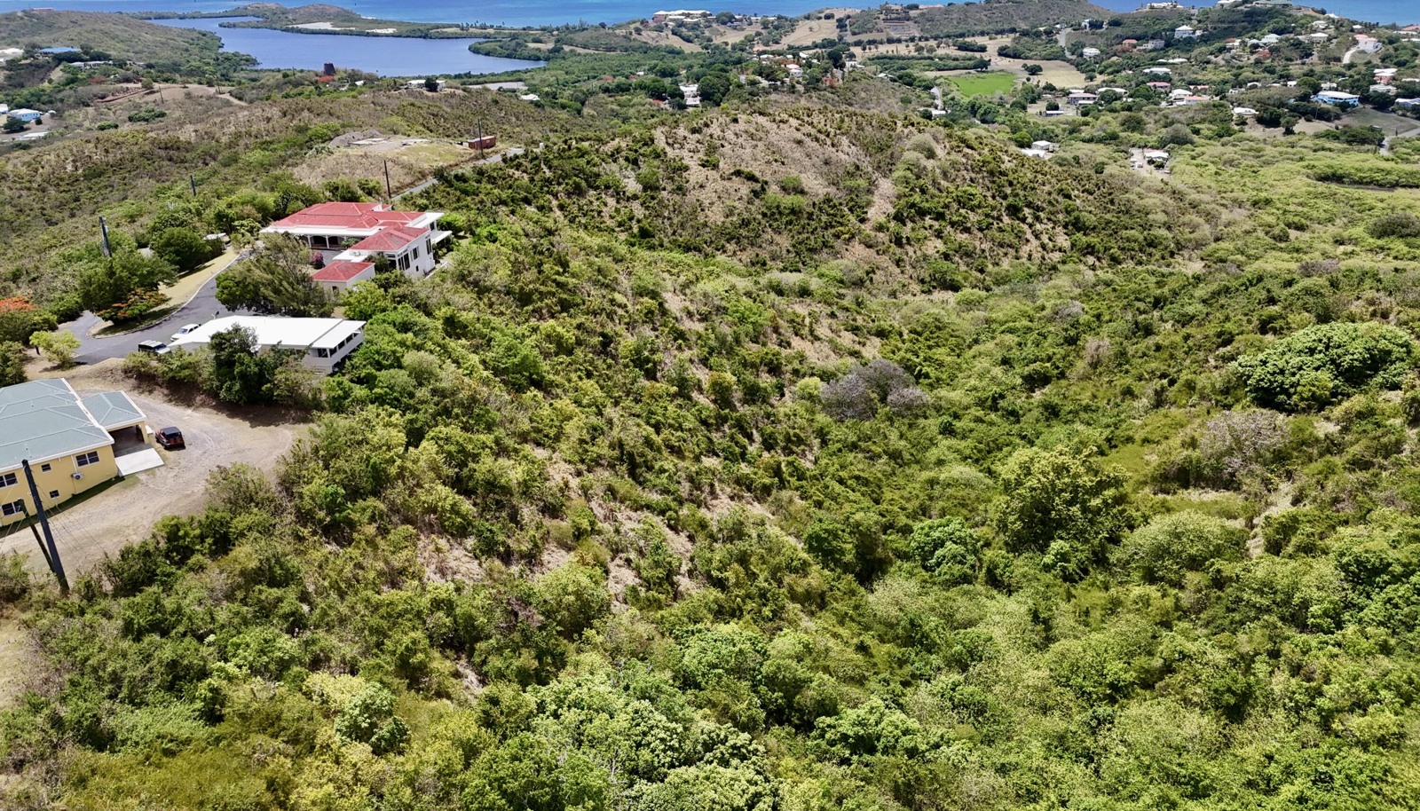 Image 10