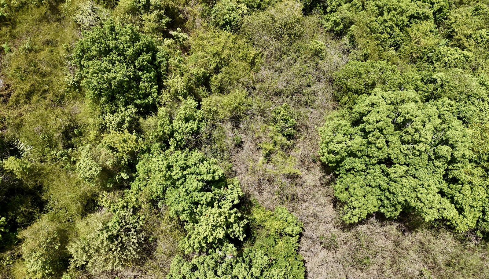 Image 15