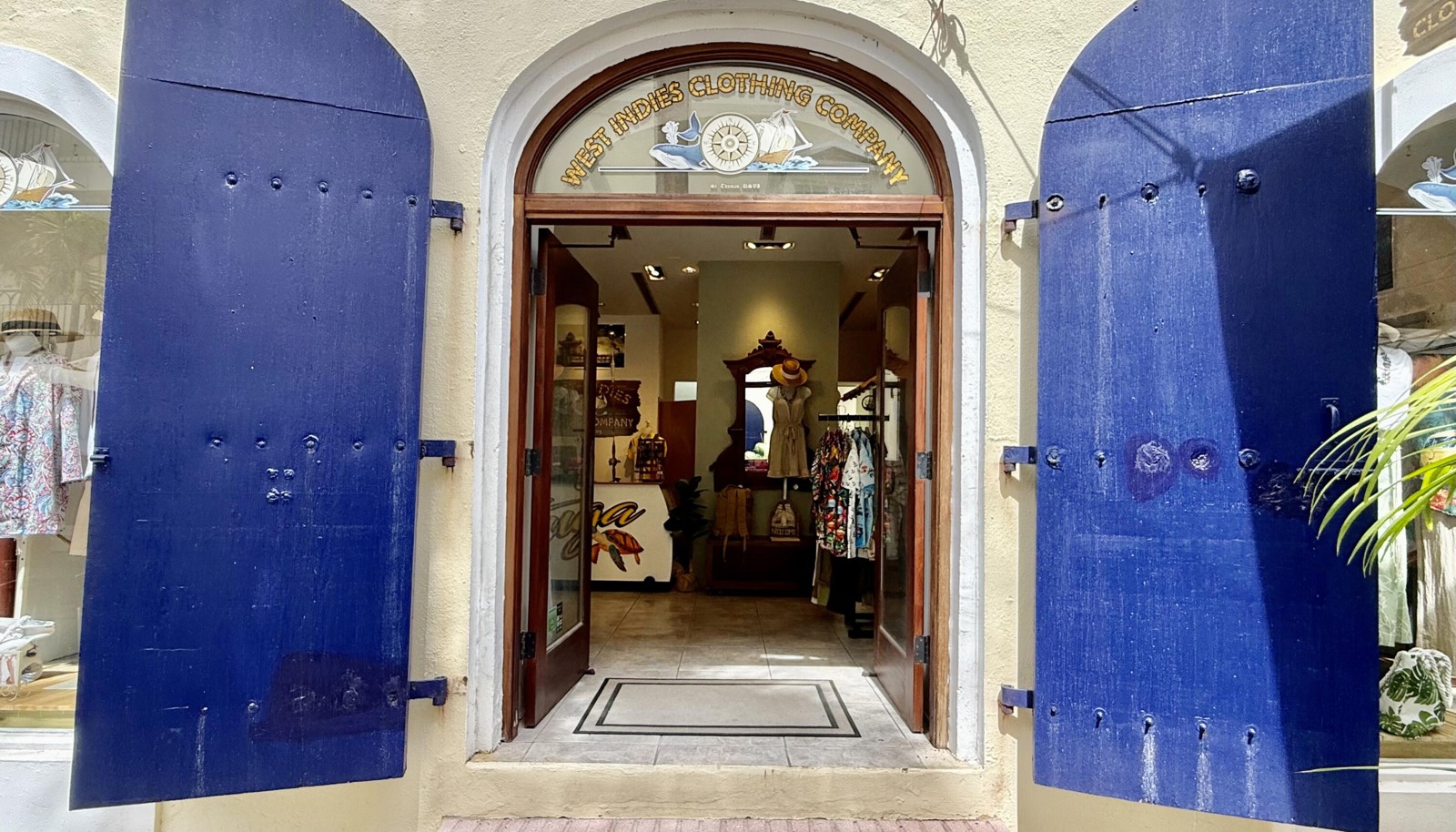 Image 5