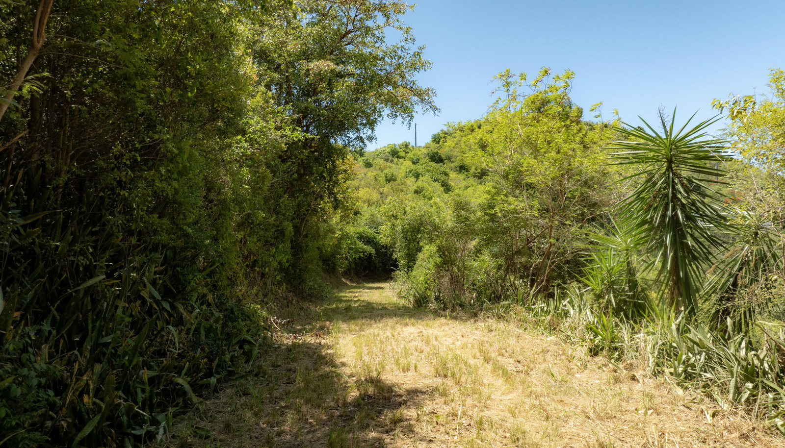 Image 13