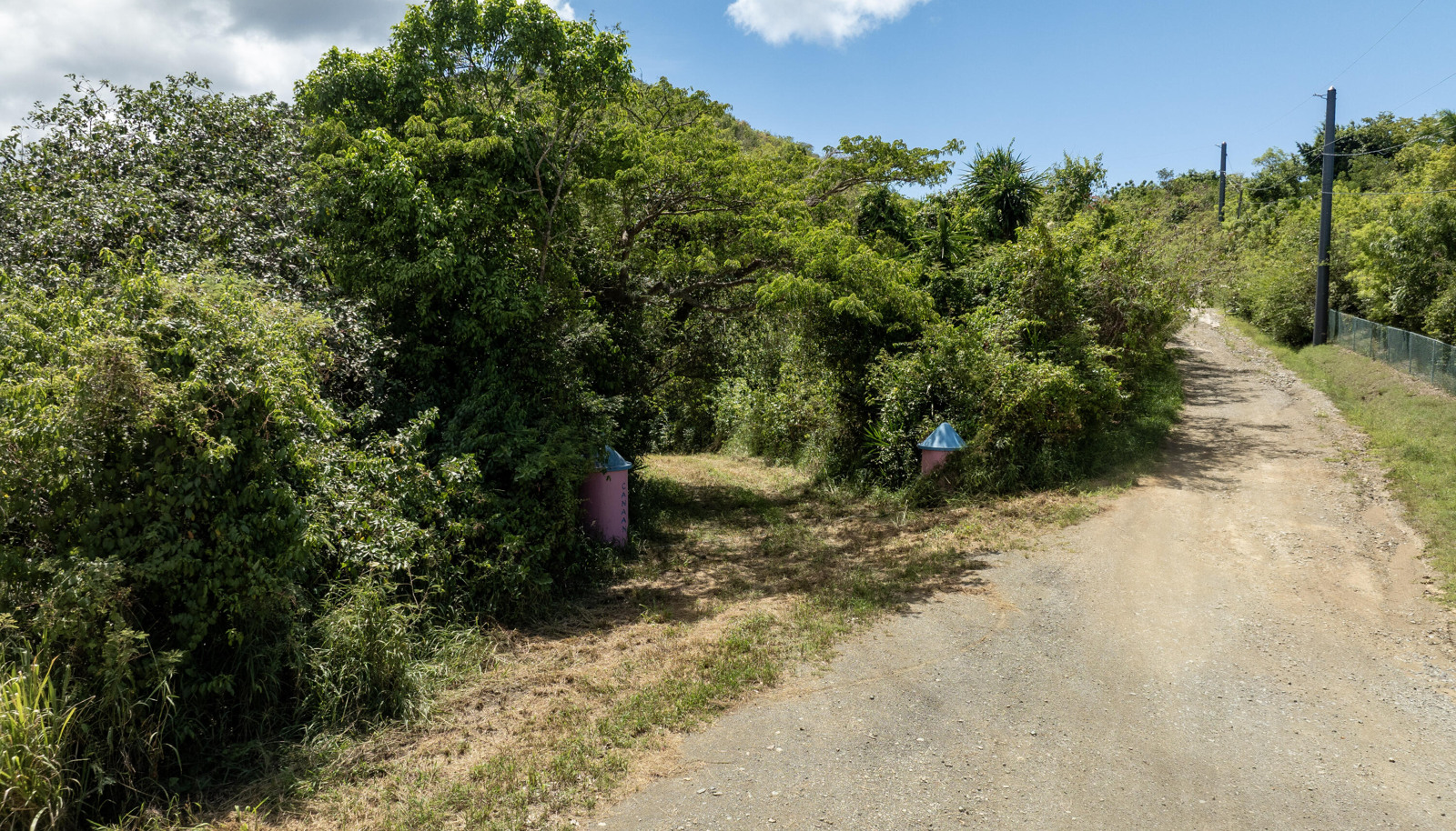 Image 15