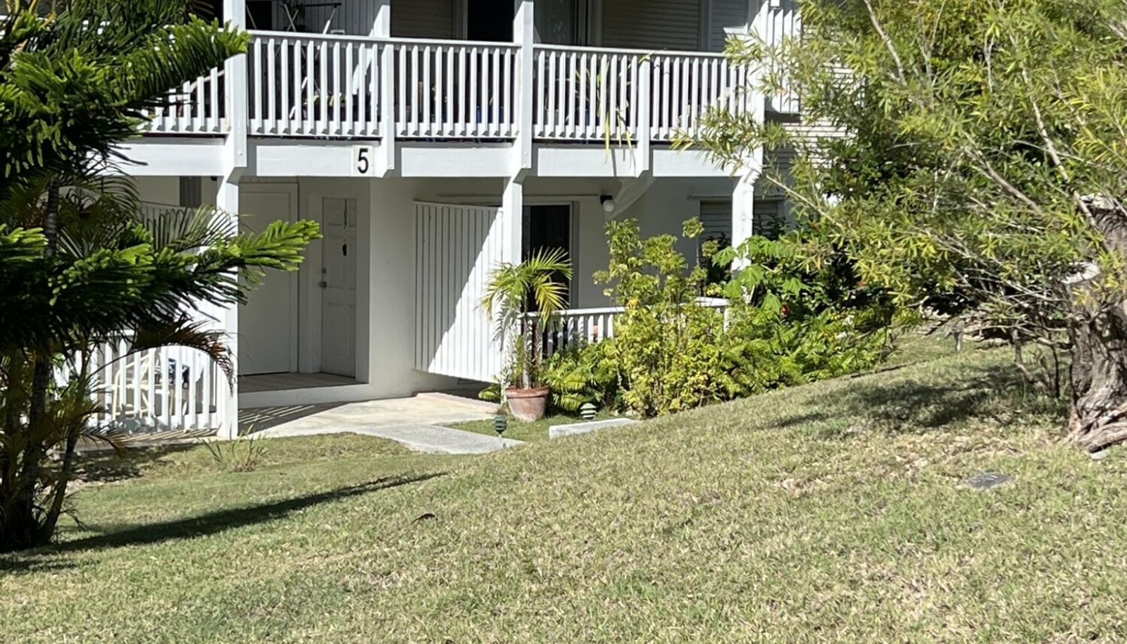 Image 13
