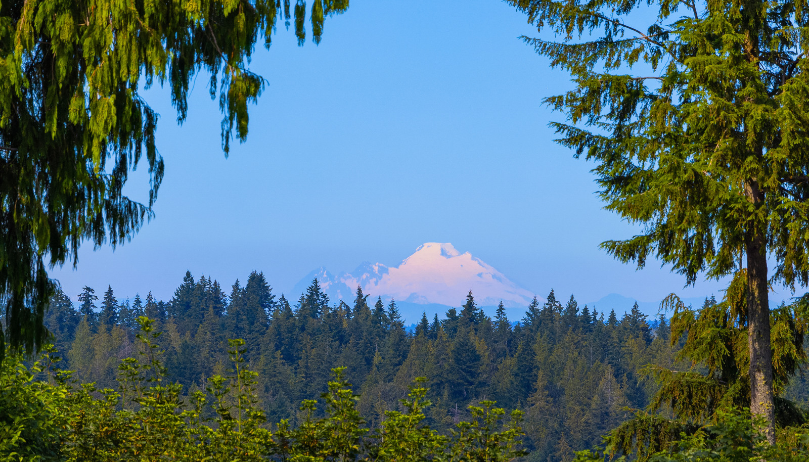 Mt Baker from the upper level main home deck and the upper level apartment deck!